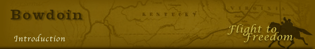 headerIntro